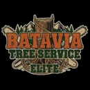 Batavia Tree Service Elite