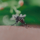 Bartow Pest Control - Pest Control Equipment & Supplies