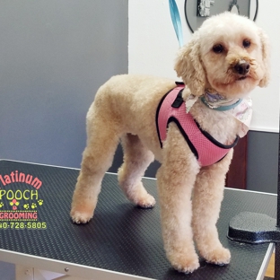 Platinum Pooch Grooming - Cleveland, OH. #LYLA #MiniatureDoodle
#ClevelandGrooming #OhioGroomer 
#PlatinumPoochGrooming #WeLoveDirtyPoochies 
#DogGrooming 
#PetGrooming #ClevelandGrooming 
#CatGrooming #DogGroomer #DogHairCut #AnimalLovers #DogHairStyle #OldBrooklynPetGrooming
Contact us 
440-728-5805
www.platinumpoochcle.com