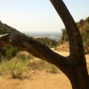 Runyon Canyon Properties - Parks