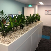 Gallery Image Number 3