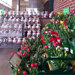 Market Basket - Ashland, MA