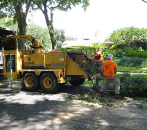 Kevin's Tree Service - Oviedo, FL