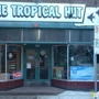 Tropical Hut