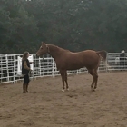 Double Header Performance Horses