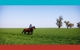 Gunnedah Shire Council