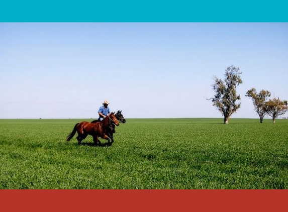Gunnedah Shire Council - Gunnedah, NSW. Gunnedah Shire