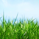 Stutzmans Landscaping Services - Landscaping & Lawn Services