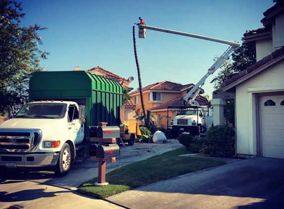 Premier Tree Service - Anaheim, CA