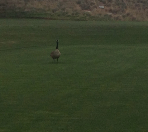 Trilogy Golf Club at Vistancia - Peoria, AZ