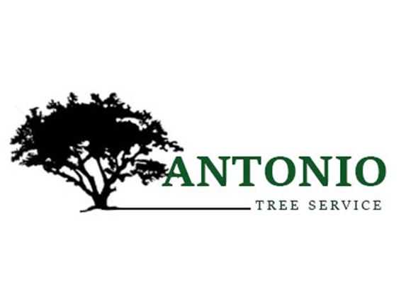 Antonio Tree Service - Elmont, NY