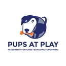 Pups@Play - Pet Grooming