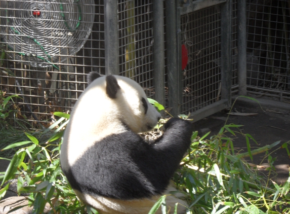 San Diego Zoo - San Diego, CA