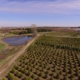 Owasso Christmas Tree & Berry Farm