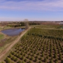 Owasso Christmas Tree & Berry Farm