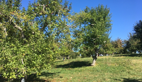 Stribling Orchard - Markham, VA