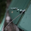 Excelsior Gutters Care gallery