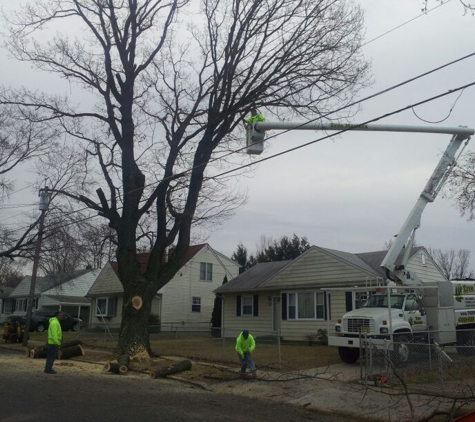 Tree & Land Masters, LLC - Berlin, NJ