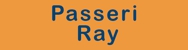 Ray Passeri Logo