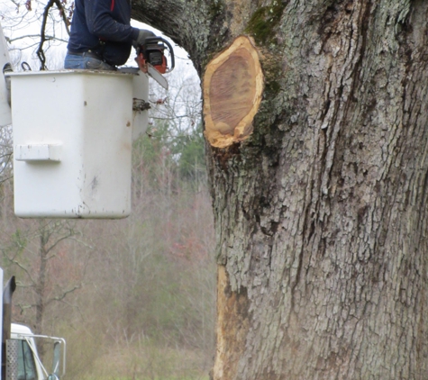 Ron Raby Tree Service