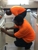 Ant's Maintenance - Handyman Services