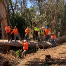 Top Tier Site Prep, LLC - Tree Service