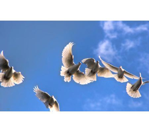William Cole Funerals - Belconnen, ACT