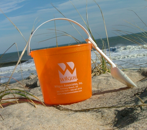 Wilgus Associates Inc - Bethany Beach, DE