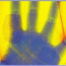Livermore Livescan - Fingerprinting