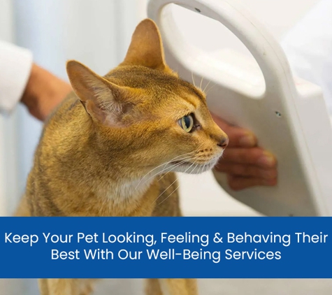 Wakeley Veterinary Hospital - Prairiewood, NSW. Keep Your Pet Looking, Feeling & Behaving Their Best With Our Well-Being Services