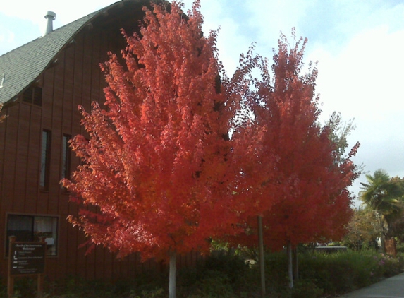 Episcopal Church Of The Resurrection - Pleasant Hill, CA