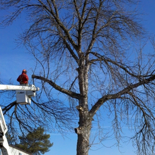 Harper Hill Tree Service - Mason, MI