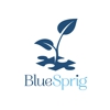 BlueSprig Marietta - ABA Therapy for Autism gallery