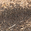 Why-U-Buggin Pest Control gallery