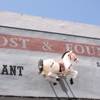 Lost & Found Saloon gallery