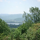 Asheville Vacation Cabins Inc