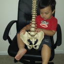 Ace Family Chiropractic - Chiropractors & Chiropractic Services