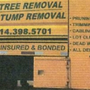 Macedo Tree Service - Tree Service