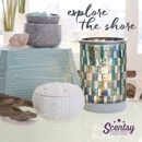 Scentsy Wickless Candles - Essential Oils