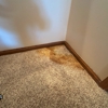 Compass Carpet Repair & Cleaning gallery