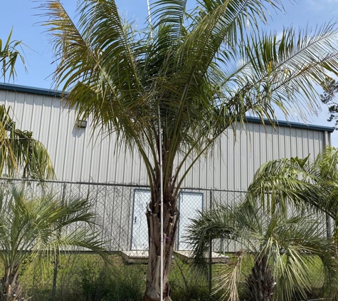 Lisenby Palms Inc. - Panama City Beach, FL