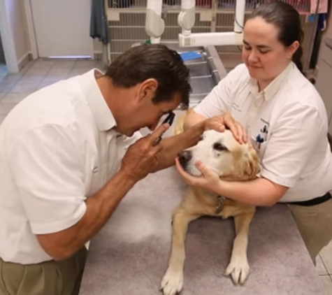 Family Pet Hospital Of Stone Oak - San Antonio, TX