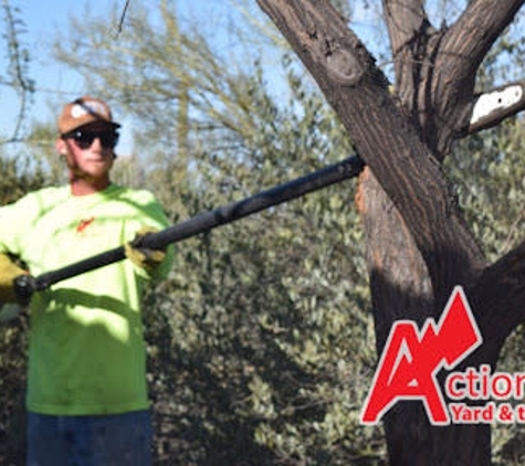 Action Yard and Tree Service - Tucson, AZ