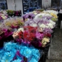 National Floral Distributors, Inc Forest Park/Norcross