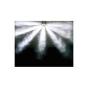 Gallery Image Number 7