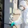 Paradise Pest Control gallery