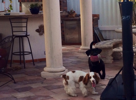 Aly's Hotel for Dogs - Palmetto Bay, FL