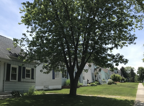 Birch Tree Service - Stow, OH