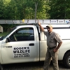 Rogers Wildlife Control Service gallery