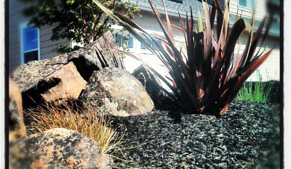 Poteracke Landscape Design & Build - Sebastopol, CA